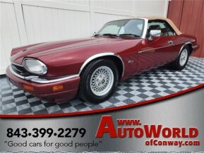 1994 Jaguar XJS for sale 101986844