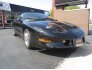 1994 Pontiac Firebird Coupe for sale 101608558