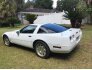 1995 Chevrolet Corvette for sale 101186255