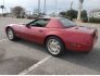 1995 Chevrolet Corvette for sale 101754365