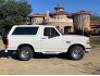1995 Ford Bronco for sale 101662829