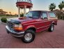 1995 Ford Bronco for sale 101825682