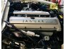 1995 Jaguar XJS V6 Convertible for sale 101486059