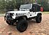 1995 Jeep Wrangler 4WD Rio Grande for sale 101423736