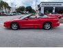 1995 Pontiac Firebird for sale 101600915