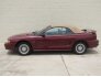 1996 Ford Mustang GT for sale 101735651