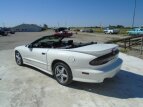 Thumbnail Photo 2 for 1996 Pontiac Other Pontiac Models