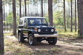 1996 Toyota Land Cruiser for sale 101904158