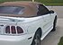 1997 Ford Mustang Cobra Convertible for sale 101220411