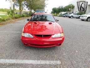 1997 Ford Mustang for sale 101801412