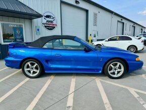 1998 Ford Mustang Cobra Convertible for sale 101963435