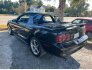 1998 Ford Mustang for sale 101805263