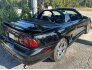 1998 Ford Mustang for sale 101805263