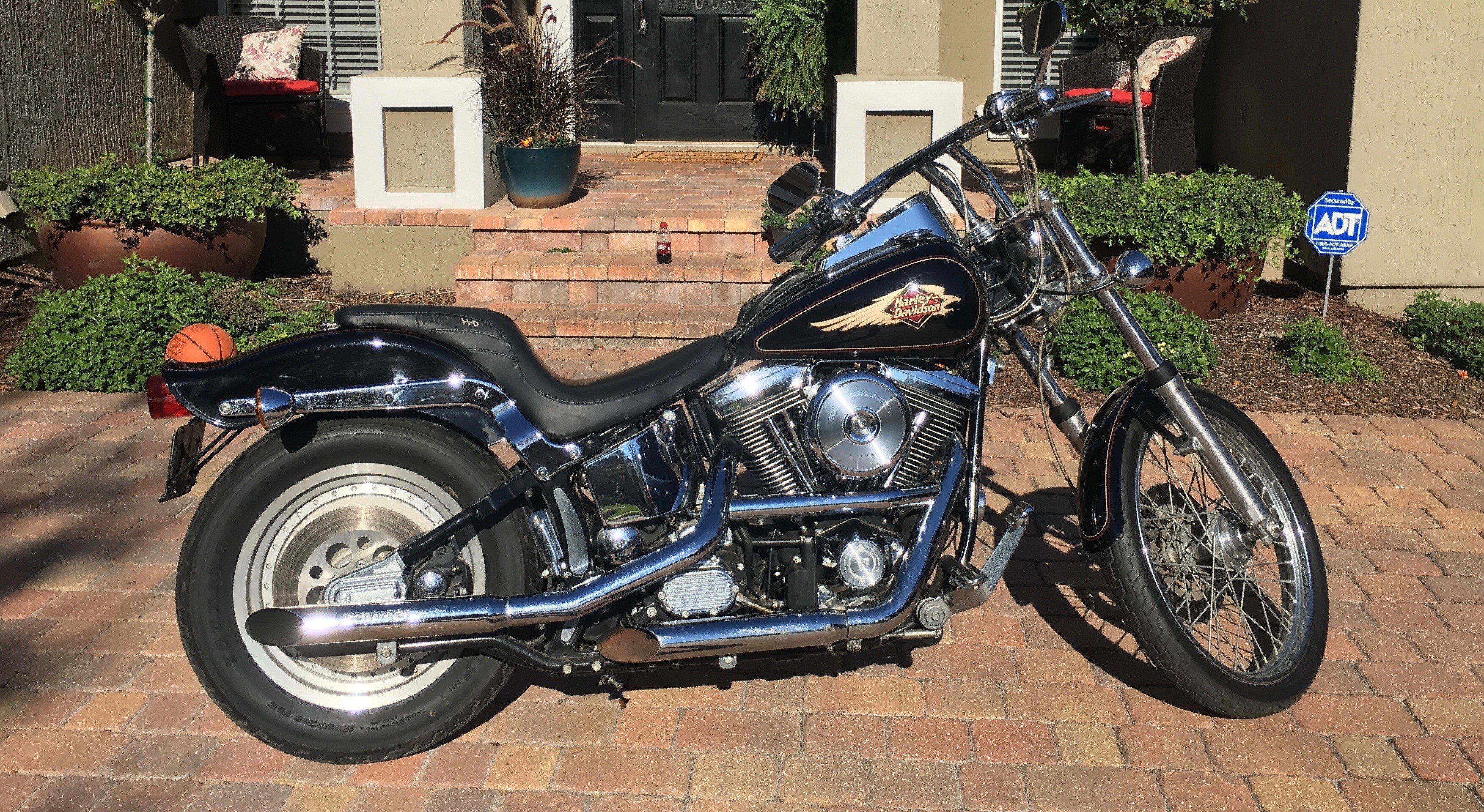 1998 hot sale softail custom