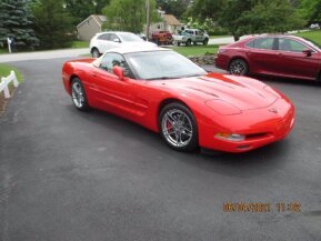 1999 Chevrolet Corvette for sale 101590892