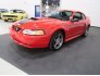 1999 Ford Mustang GT for sale 101689053