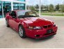 1999 Ford Mustang Cobra Coupe for sale 101816399