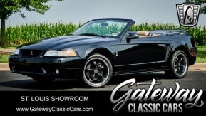 1999 Ford Mustang Cobra Convertible for sale 101953267