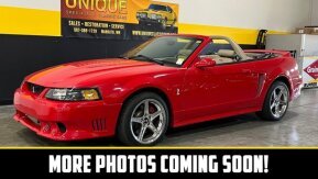 1999 Ford Mustang Cobra Convertible for sale 101974500