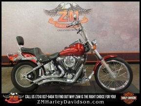 1999 Harley-Davidson Softail for sale 201327056