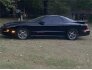 1999 Pontiac Firebird Coupe for sale 101771837