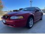 2000 Ford Mustang GT for sale 101676412