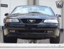 2000 Ford Mustang GT for sale 101689147