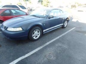 2000 Ford Mustang for sale 101711219