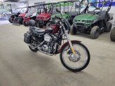 2000 Harley-Davidson Sportster 1200 Custom