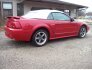 2001 Ford Mustang Convertible for sale 101846796