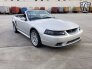 2001 Ford Mustang for sale 101689222