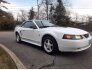 2001 Ford Mustang for sale 101692504