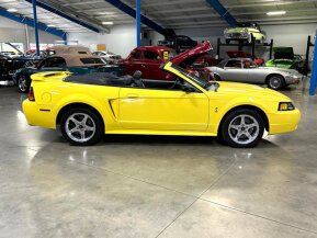 2001 Ford Mustang Cobra Convertible for sale 101945622