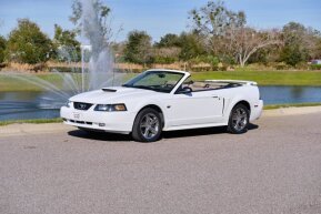 2001 Ford Mustang for sale 101997556