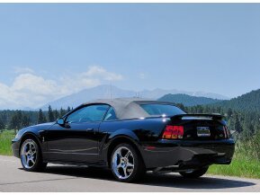 2001 Ford Mustang Cobra Convertible for sale 101578374
