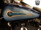 Thumbnail Photo 13 for 2001 Harley-Davidson Shrine