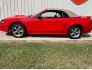 2002 Ford Mustang for sale 101796977