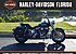 2002 Harley-Davidson Softail for sale 200620720