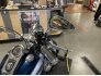 2002 Harley-Davidson Softail for sale 201332452