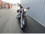 2002 Harley-Davidson Softail for sale 201411910