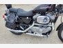 2002 Harley-Davidson Sportster for sale 201269430