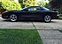 2002 Pontiac Firebird Coupe for sale 100772116