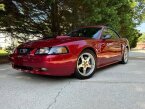 Thumbnail Photo 1 for 2003 Ford Mustang GT Convertible
