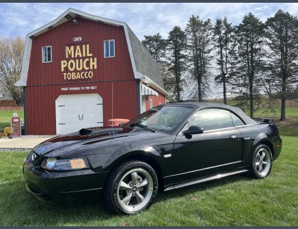 Photo 1 for 2003 Ford Mustang GT Convertible