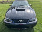 Thumbnail Photo 6 for 2003 Ford Mustang GT Convertible