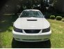 2003 Ford Mustang GT for sale 101760095