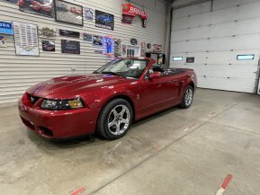 2003 Ford Mustang Cobra Convertible for sale 101785183