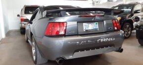 2003 Ford Mustang GT for sale 101587719
