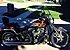 2003 Harley-Davidson Softail for sale 200531486