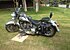 2003 Harley-Davidson Softail for sale 200759173